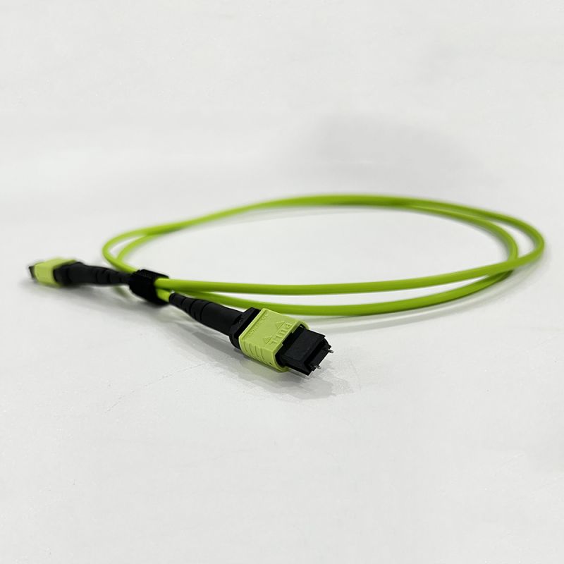 OM5 MPO Patch Cord
