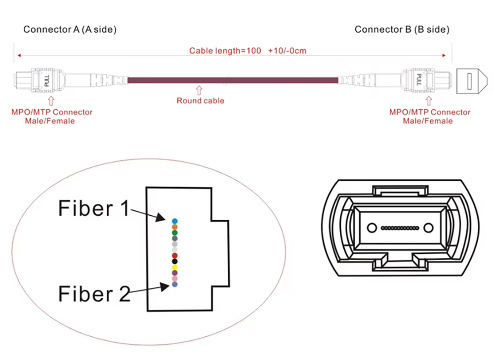 8 12 24 Fiber MPO to MPO Trunk Cable OM4 Fiber Patch Cord
