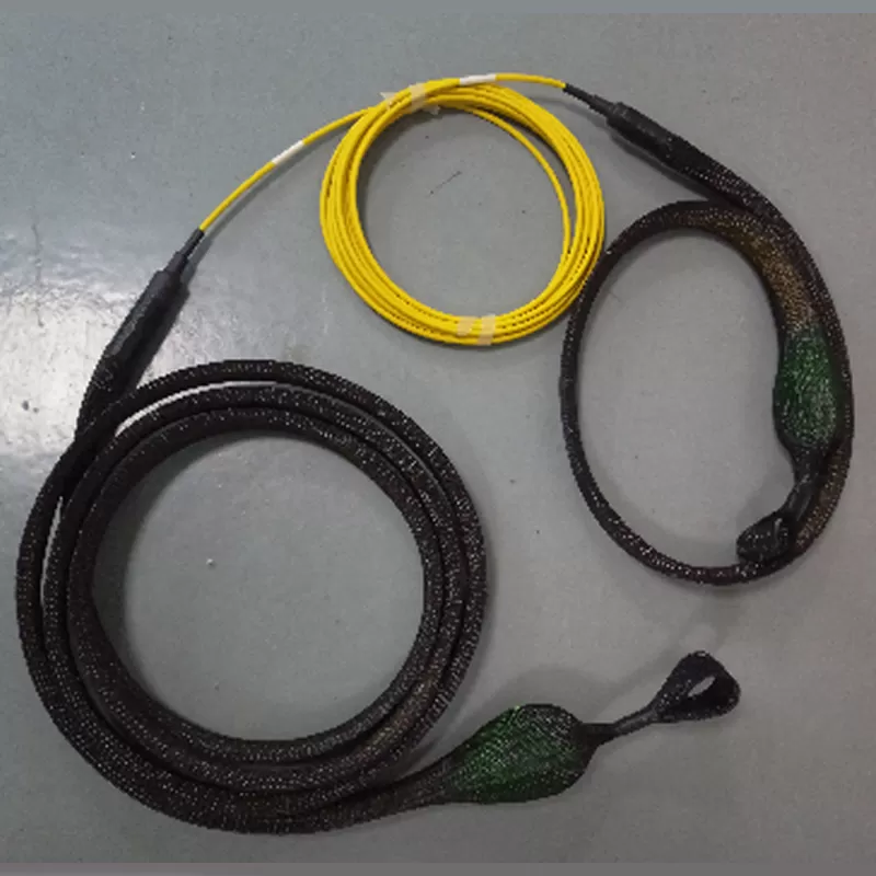 Multifiber patch cord