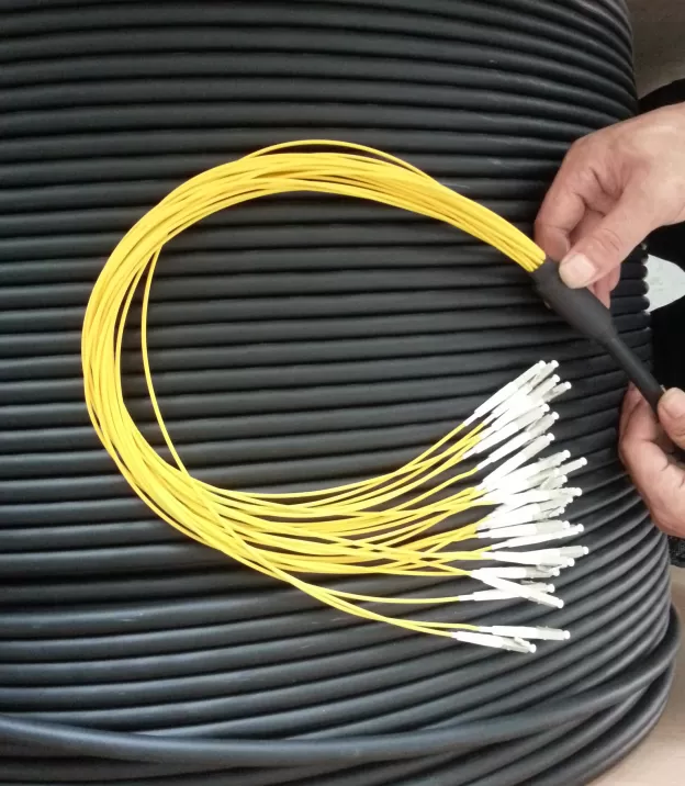 Multifiber patch cord