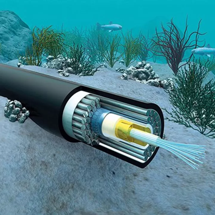 Submarine Fiber Optic Cable