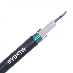 24 48 72 96 144 192 288 Core GYDXTW G652D Single Mode Ribbon Armored Fiber Optic Cable