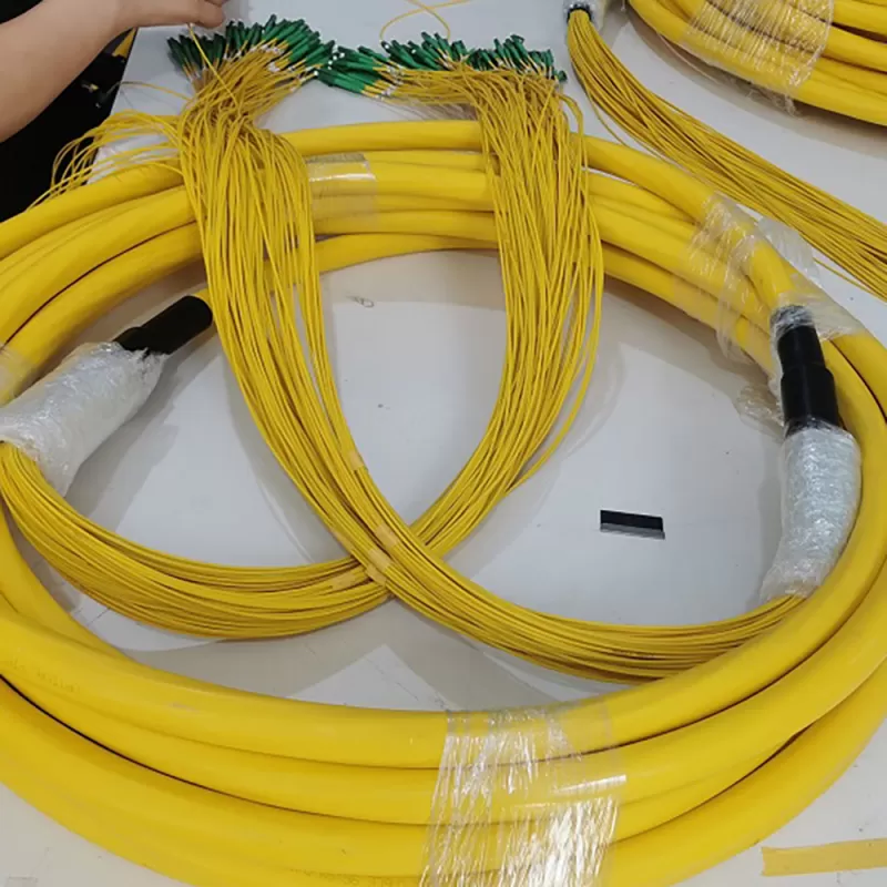 multifiber patch cord
