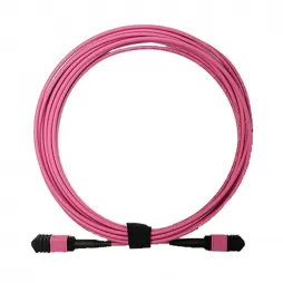 8 12 24 Fiber MPO to MPO Trunk Cable OM4 Fiber Patch Cord