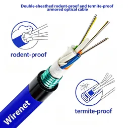 48 Core GYFTS Outdoor Armored Fiber Optic Cable | G652D Single Mode Loose Tube for Aerial & Duct Networks